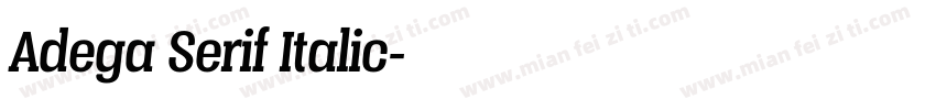 Adega Serif Italic字体转换